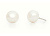 Classic Pearl Studs
